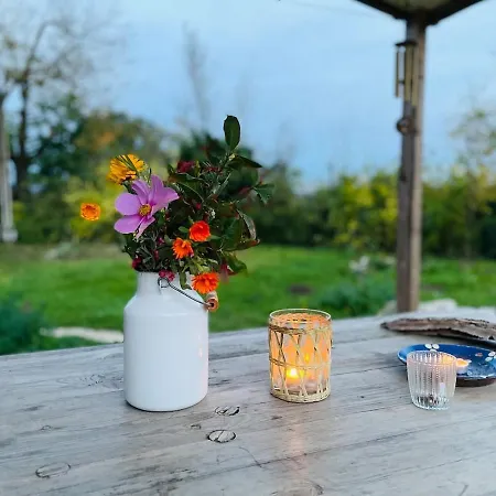 Дом отдыха Tiny House Suedschwarzwald *